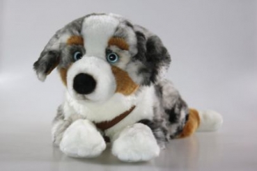 Plüsch Austral. Shepherd 60cm